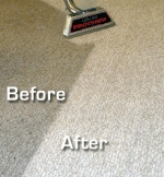 NSW Carpet Cleaning - Before and After