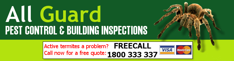 All Guard Pest Control and Building Inspections - Sydney